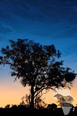 South African Sunset