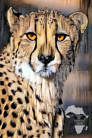 Cheetah