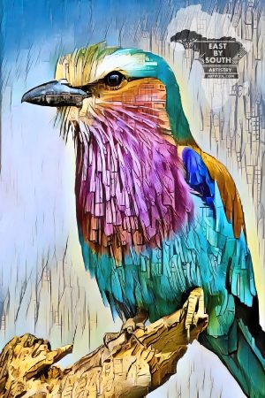 Lilac-breasted Roller